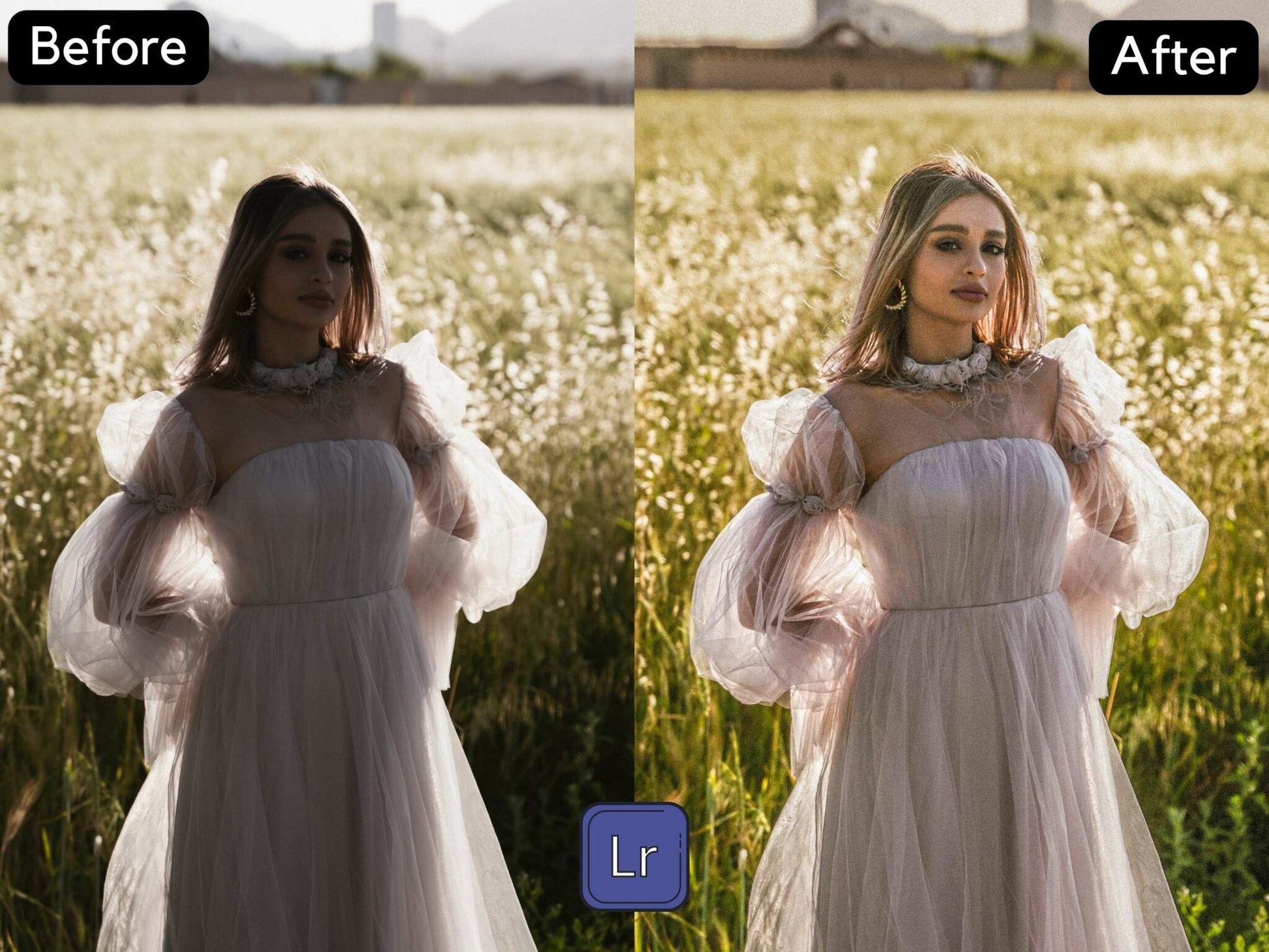 Dark to Bright Premium Lightroom Preset