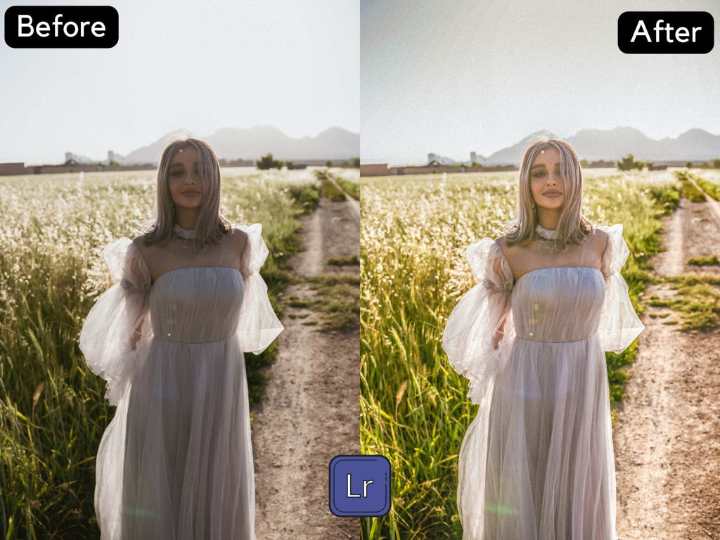 Dark to Bright Premium Lightroom Preset